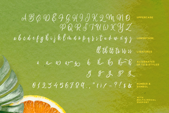 Chillday Font Poster 9