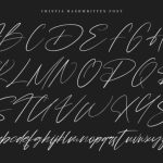 Chintia Font Poster 6