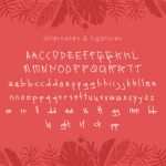 Chopio Font Poster 3