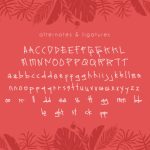 Chopio Font Poster 3