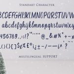 Christmas Font Poster 13