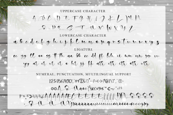 Christmas Signature Font Poster 8