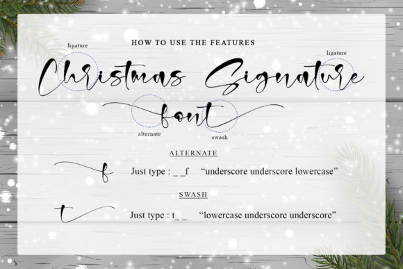 Christmas Signature Font Poster 9