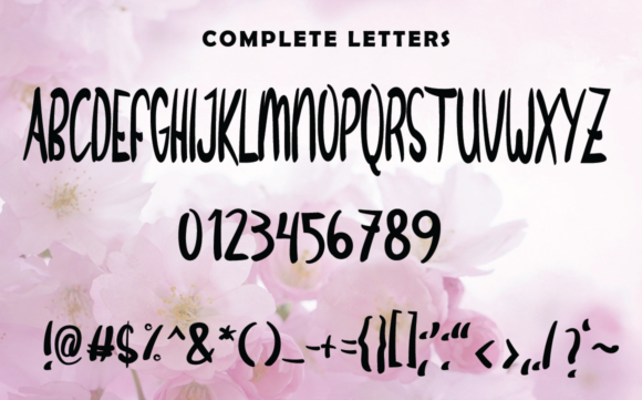Christmas Wish Font Poster 4