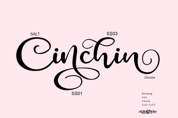 Cinchin Font Poster 7