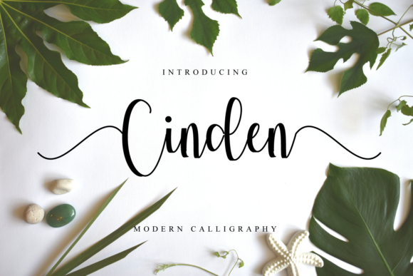 Cinden Font Poster 1