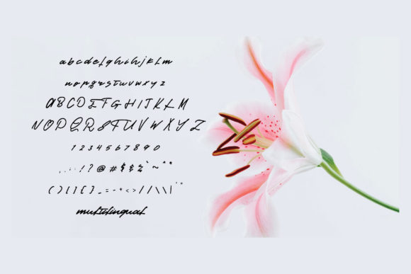 Cinestory Font Poster 4
