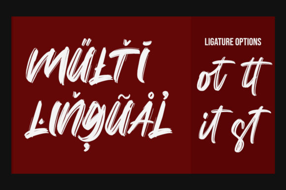 Citizen Brush Font Poster 11