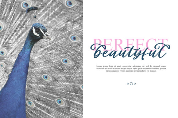 Cladessia Font Poster 4