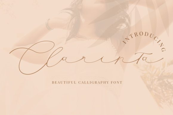 Clarinta Font Poster 1