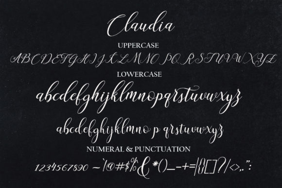 Claudia Font Poster 6