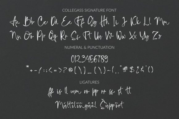 Collegass Signature Font Poster 10