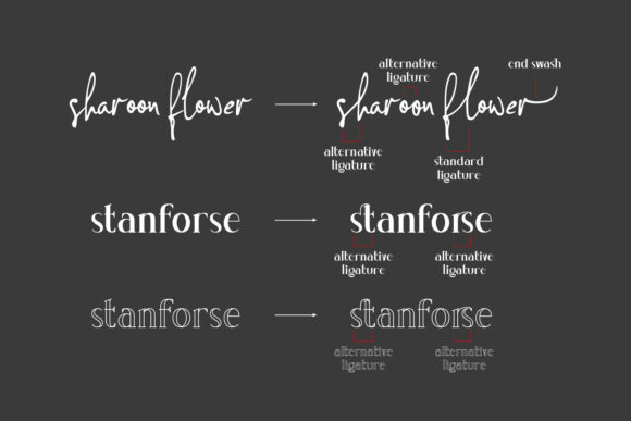Concetta Kalvani Font Poster 8