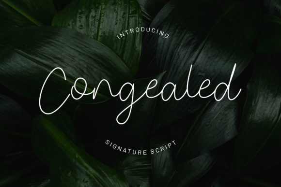Congealed Font