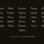 Constância Script Font Poster 5