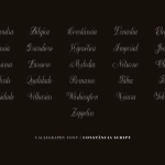 Constância Script Font Poster 5