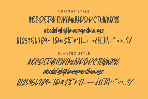 Constaniz Font Poster 6