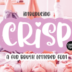 Crisp Font Poster 1