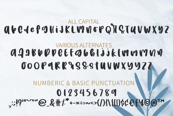 Crown of a Mom Font Poster 14