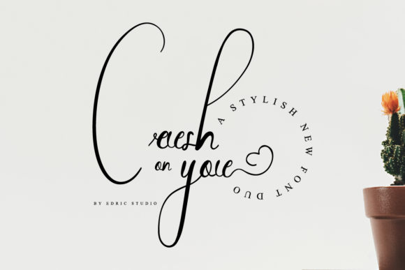 Crush on You Font Poster 2