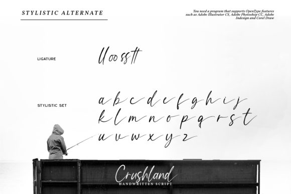 Crushland Font Poster 3