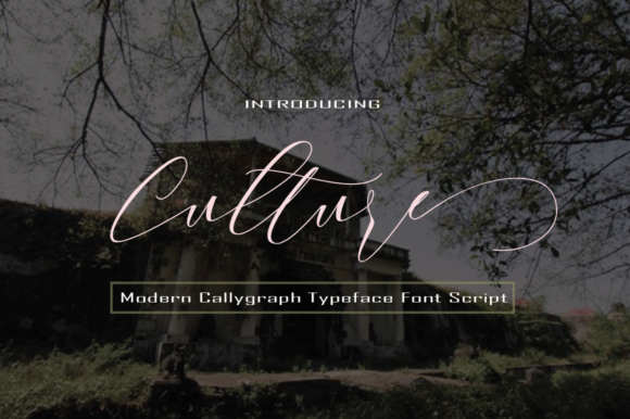 Culture Font Poster 1