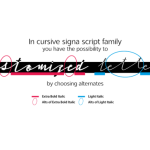 Cursive Signa Script Font Poster 7