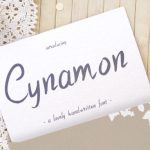 Cynamon Font Poster 1