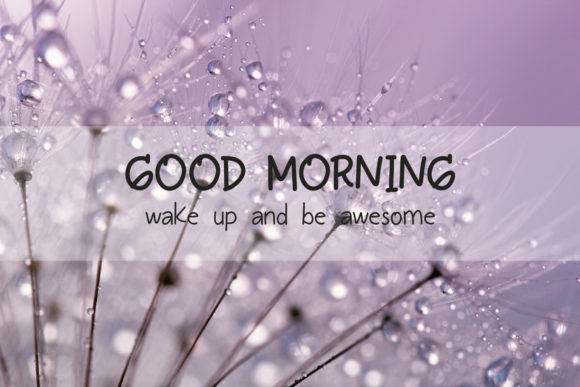 Daffodile Font Poster 6