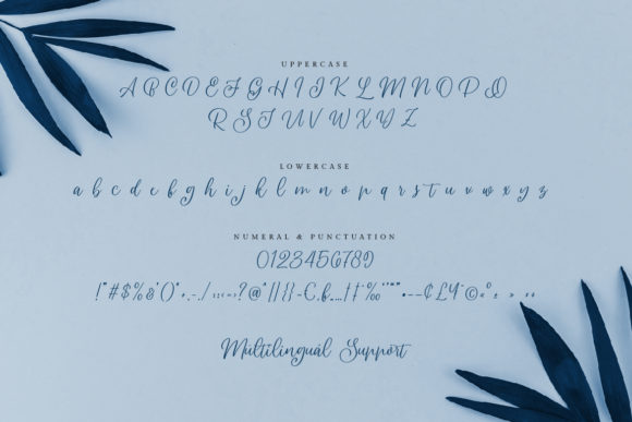 Dailova Font Poster 8