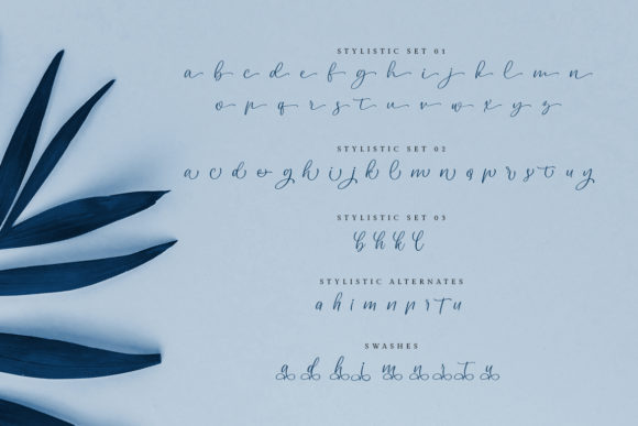 Dailova Font Poster 9