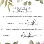 Daisha Font Poster 2