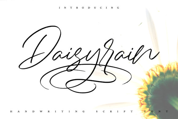 Daisy Rain Font Poster 1