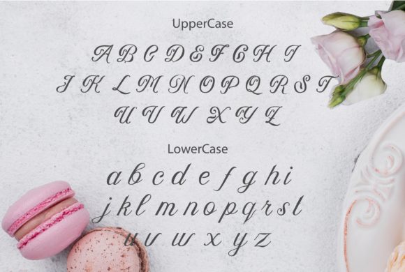 Dalina Font Poster 7