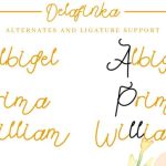 Delafinka Font Poster 10