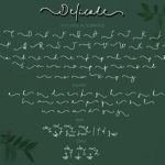 Delicate Font Poster 9