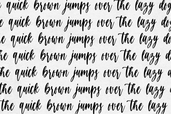 Delicated Font Poster 8