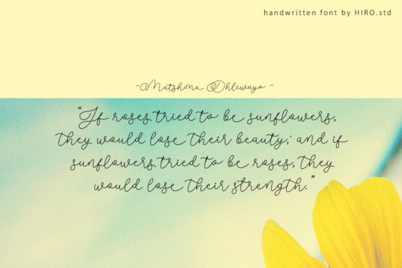 Delissa Beauty Font Poster 4