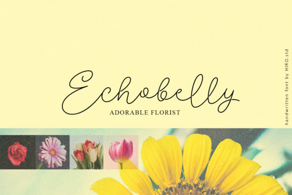 Delissa Beauty Font Poster 7