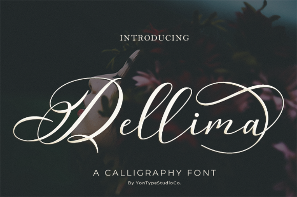 Dellima Font Poster 1