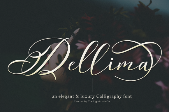 Dellima Font Poster 9