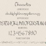 Denique Font Poster 6