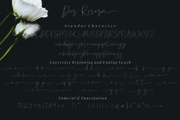 Des Rosesa Font Poster 13