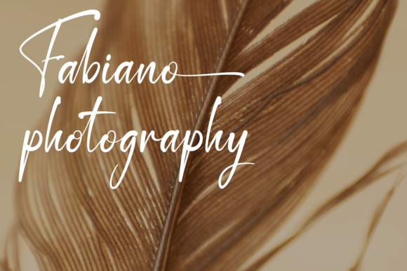 Destoria Font Poster 5