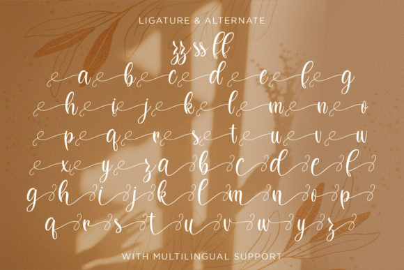 Dilan Whemsy Font Poster 14