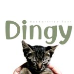 Dingy Font Poster 1