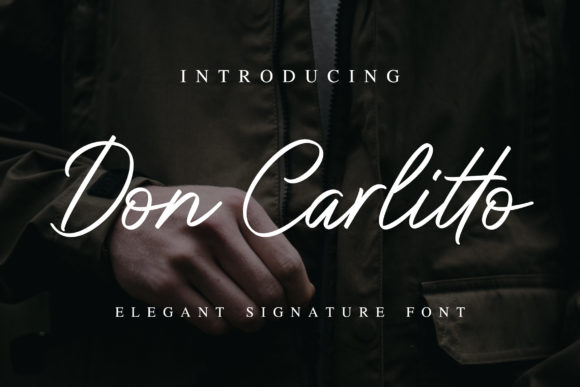 Don Carlitto Font Poster 1