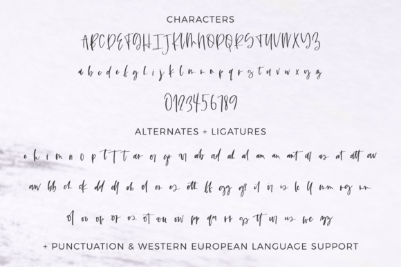 Duchess Font Poster 10