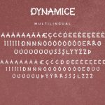Dynamice Font Poster 7