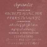 Dynamice Font Poster 9